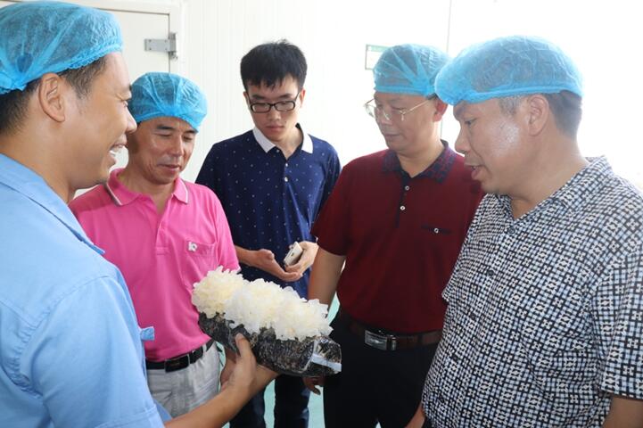 “湘軍故里，鋼鐵新城”我院助力婁底市開啟創(chuàng)新發(fā)展新篇章