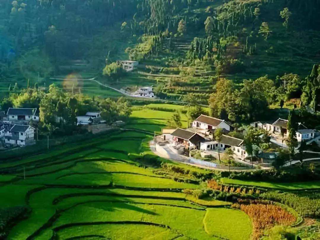 重視農村產業(yè)規(guī)劃編制 助力農業(yè)專業(yè)鎮(zhèn)崛起