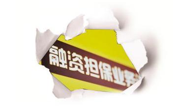 國務院關(guān)于促進融資擔保行業(yè)加快發(fā)展的意見