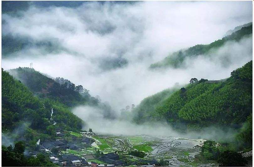 四、農(nóng)村一二三產(chǎn)業(yè)融合發(fā)展先導(dǎo)區(qū)項目