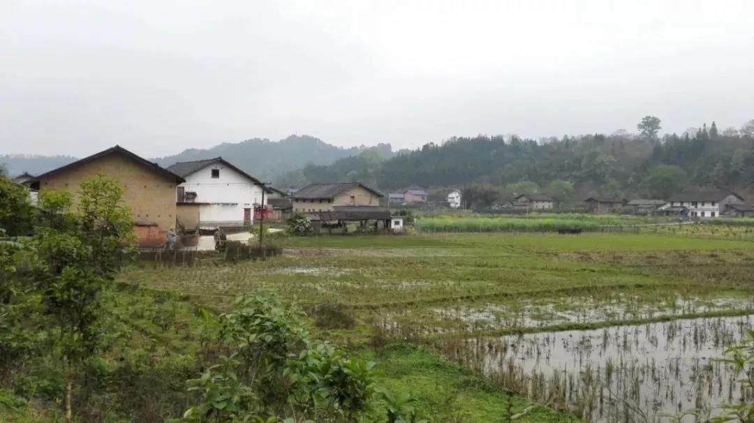 農(nóng)村土地確權(quán)結(jié)束，沒登記的四荒地如何處理？