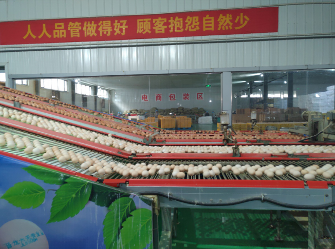 后稷故里，板棗之鄉(xiāng)——山西省稷山縣大力爭創(chuàng)國家現(xiàn)代農(nóng)業(yè)產(chǎn)業(yè)園