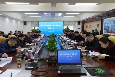 湘雁輸變電產(chǎn)業(yè)服務(wù)中心在長(zhǎng)沙成立，湖南輸變電產(chǎn)業(yè)開(kāi)啟發(fā)展新篇章