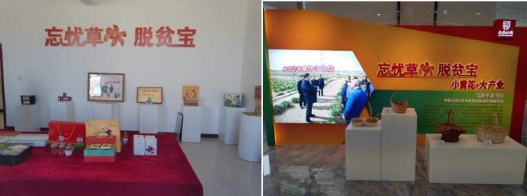 打造農(nóng)業(yè)綠色發(fā)展典范,云州區(qū)創(chuàng)建國(guó)家農(nóng)業(yè)綠色發(fā)展先行區(qū)勢(shì)在必行